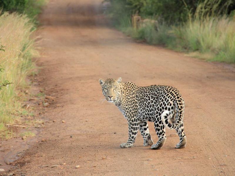 香港霓虹<br>qyo4ufag.cn 九龙城寨记忆